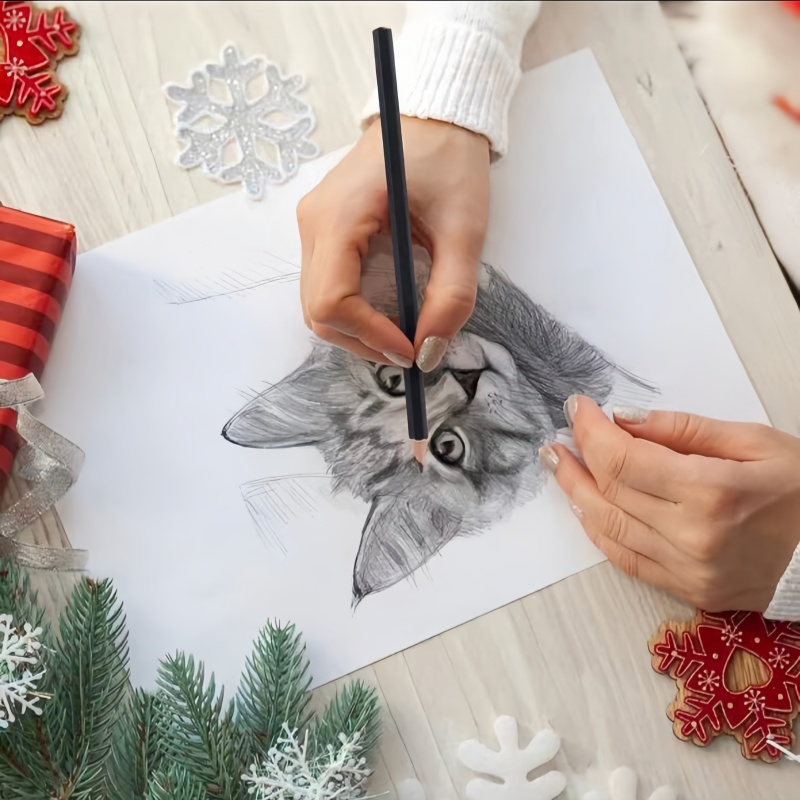 Set Alat Sketsa 29-Piece untuk - Sketching Charcoal Set ulasan dan harga